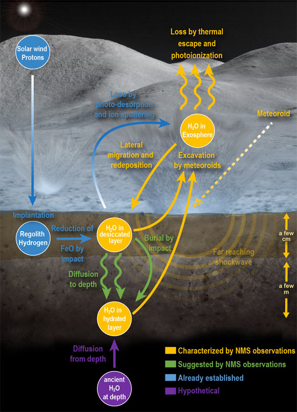 This infographic shows the lunar water cycle based on the new observations from the Neutral Mass Spectrometer on board NASA’s LADEE spacecraft. At the lunar surface, a dry layer overlays a hydrated layer. Water is liberated by shock waves from meteoroid impacts. The liberated water either escapes to space or is redeposited elsewhere on the Moon. Some water is created by chemical reactions between the solar wind and the surface or delivered to the Moon by the meteoroids themselves. However, in order to sustain the water loss from meteoroid impacts, the hydrated layer requires replenishment from a deeper ancient water reservoir. Image credit: NASA’s Goddard Space Flight Center / Mehdi Benna / Jay Friedlander.