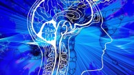 Wang et al predicted a set of high-confidence risk genes for schizophrenia; these genes account for a significantly enriched heritability; they are predominantly expressed in brain tissues, especially prenatally, and are enriched for targets of approved drugs, suggesting opportunities to reposition existing drugs for schizophrenia. Image credit: Gerd Altmann.
