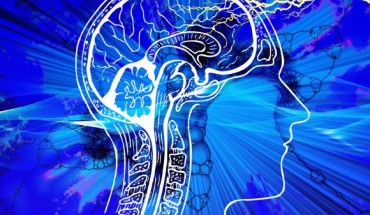 Wang et al predicted a set of high-confidence risk genes for schizophrenia; these genes account for a significantly enriched heritability; they are predominantly expressed in brain tissues, especially prenatally, and are enriched for targets of approved drugs, suggesting opportunities to reposition existing drugs for schizophrenia. Image credit: Gerd Altmann.