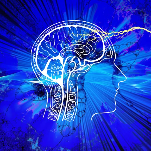 Wang et al predicted a set of high-confidence risk genes for schizophrenia; these genes account for a significantly enriched heritability; they are predominantly expressed in brain tissues, especially prenatally, and are enriched for targets of approved drugs, suggesting opportunities to reposition existing drugs for schizophrenia. Image credit: Gerd Altmann.