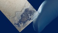 In order to make artificial nacre, Spiesz et al use bacteria to create alternating thin layers of crystalized calcium carbonate and sticky polymer. Image credit: J. Adam Fenster / University of Rochester.