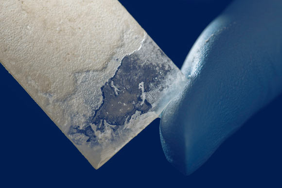 In order to make artificial nacre, Spiesz et al use bacteria to create alternating thin layers of crystalized calcium carbonate and sticky polymer. Image credit: J. Adam Fenster / University of Rochester.