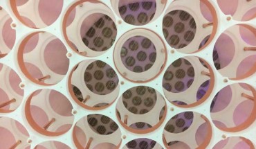 One photodetector array of the XENON1T detector seen through the other. Image credit: XENON Collaboration.