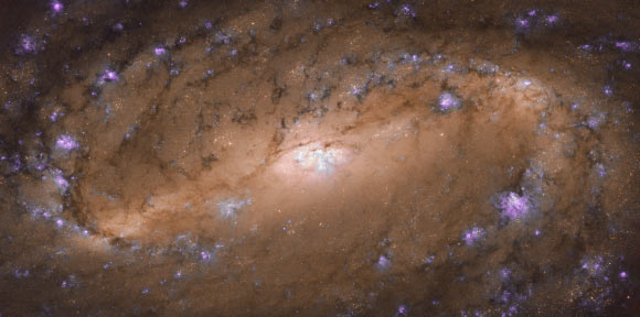This Hubble image shows the central part of the spiral galaxy NGC 2903. Image credit: NASA / ESA / Hubble / L. Ho et al.