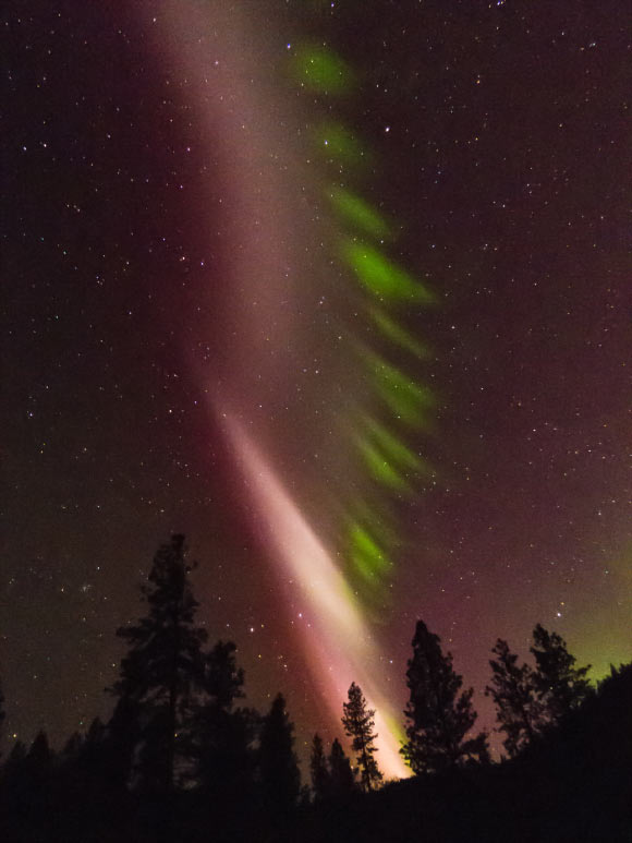 This photograph of STEVE was taken on May 8, 2016, in Keller, WA, the United States. The major structures are two bands of upper atmospheric emissions 100 miles (160 km) above the ground, a mauve arc and green picket fence. The background star constellations include Gemini and Ursa Major. Image credit: Rocky Raybell.
