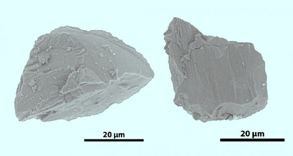 The two Itokawa particles studied by the team are tiny: for comparison, a human hair is 100 to 500 microns in diameter. Image credit: Ziliang Jin & Maitrayee Bose, ASU / JAXA.