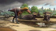 An artist’s rendering of how Suskityrannus hazelae may have looked. Image credit: Andrey Atuchin.