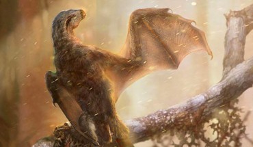 Ambopteryx longibrachium. Image credit: Chung-Tat Cheung & Min Wang / Institute of Vertebrate Paleontology and Paleoanthropology, Chinese Academy of Sciences.