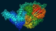 The mcr-9 gene’s protein structure graphic depicts the differing protein chains (solid color ribbons) and the protein surface (mesh) surrounding it. Image credit: Ahmed Gaballa / Cornell University.