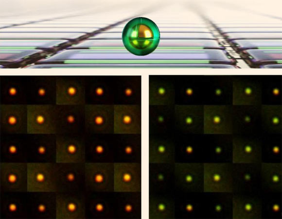 eNPoMs (electrochromic nanoparticle-on-mirror constructs) formed from gold nanoparticles encapsulated in a conductive polymer shell. Image credit: Hyeon-Ho Jeong & Jialong Peng / NanoPhotonics Cambridge.