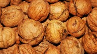 Replacing saturated fatty acids with 57 to 99 g/day of walnuts for 6 weeks reduced central diastolic blood pressure compared with a diet similarly low in saturated fatty acids but with lower alpha-linolenic acid content. Image credit: He Lee.