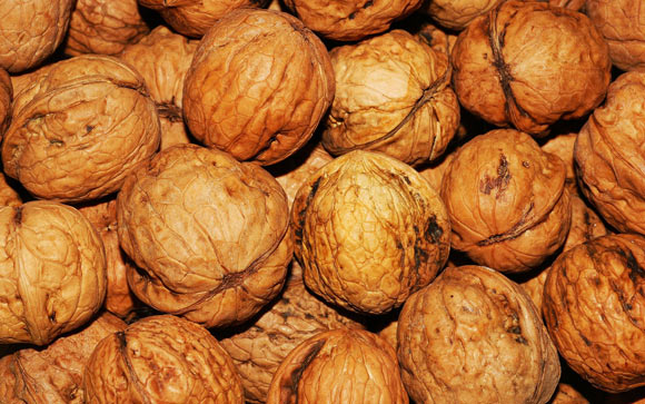 Replacing saturated fatty acids with 57 to 99 g/day of walnuts for 6 weeks reduced central diastolic blood pressure compared with a diet similarly low in saturated fatty acids but with lower alpha-linolenic acid content. Image credit: He Lee.
