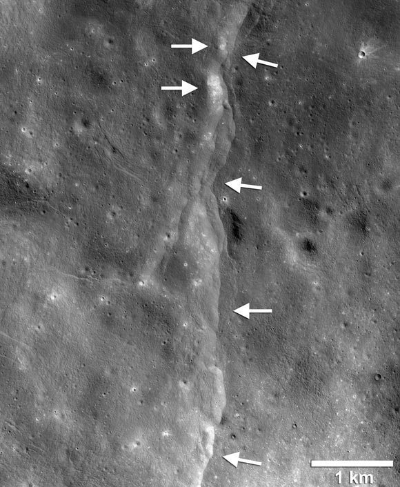 This thrust fault is one of thousands discovered on the Moon by NASA’s Lunar Reconnaissance Orbiter. These faults resemble small stair-shaped cliffs, or scarps, when seen from the lunar surface. The scarps form when one section of the Moon’s crust (left-pointing arrows) is pushed up over an adjacent section (right-pointing arrows) as the Moon’s interior cools and shrinks. Image credit: NASA / GSFC / Arizona State University / Smithsonian Institution.