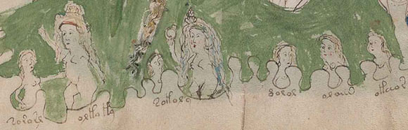 The Voynich manuscript, folio 82r, detail: two women dealing with five children in a bath; the words describe different temperaments: tozosr (buzzing: too noisy), orla la (on the edge: losing patience), tolora (silly/foolish), noror (cloudy: dull/sad), or aus (golden bird: well behaved), oleios (oiled: slippery); these words survive in Catalan [tozos], Portuguese [orla], Portuguese [tolos], Romanian [noros], Catalan [or aus] and Portuguese [oleio]; the words orla la describe the mood of the woman on the left and may well be the root of the French phrase ‘oh là là,’ which has a very similar sentiment. Image credit: Beinecke Library, Yale University.