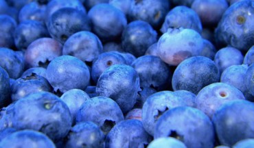 Eating 200 g of blueberries every day for a month can lead to an improvement in blood vessel function and a decrease in systolic blood pressure in healthy people. Image credit: Free-Photos.
