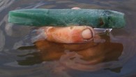 The jadeite gouge after discovery. Image credit: Heather McKillop.