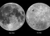 Global map of the albedo from the 750 nm filter of the UV-VIS camera onboard NASA’s Clementine spacecraft. The image shows the near side and far side of the Moon in Lambert, equal-area projection. Image credit: NASA.