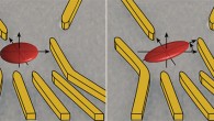 An electron is trapped in a quantum dot, which is formed in a 2D gas in a semiconductor wafer. However, the electron moves within the space and, with different probabilities corresponding to a wave function, remains in certain locations within its confinement (red ellipses). Using the gold gates applied electric fields, the geometry of this wave function can be changed. Image credit: University of Basel.