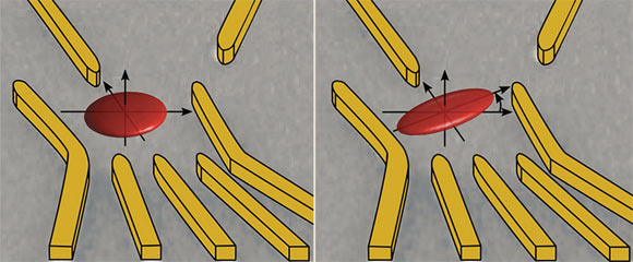 An electron is trapped in a quantum dot, which is formed in a 2D gas in a semiconductor wafer. However, the electron moves within the space and, with different probabilities corresponding to a wave function, remains in certain locations within its confinement (red ellipses). Using the gold gates applied electric fields, the geometry of this wave function can be changed. Image credit: University of Basel.
