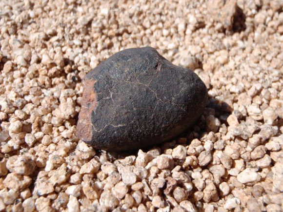 Meteorite with thin, dark, fusion crust in the Atacama Desert, Chile. Image credit: Jérôme Gattacceca, CEREGE.