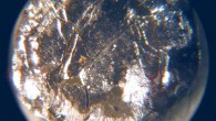A small disk of americium-241 under the microscope. Image credit: Bionerd / CC BY 3.0.