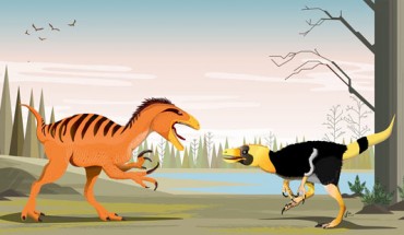 Phuwiangvenator yaemniyomi (left) and Vayuraptor nongbualamphuensis. Image credit: Adun Samathi / Rheinische Friedrich-Wilhelms Universität Bonn.