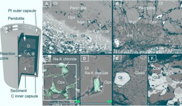 Backscattered electron images of experimental charges. Locations of images (A) to (D) from sediment-peridotite reaction experiments are schematically shown in capsule on the left. (A, C, and D) - reaction experiments at 5 GPa/1000 degrees Celsius with superimposed energy-dispersive x-ray maps of chlorine [green in (C) and (D)]. The sediment half of two-layer experiments recrystallized to garnet and clinopyroxene (Cpx), whereas orthopyroxene (Opx), magnesite (Mgs), and Na-K chlorides formed at the leading edge of the reaction zone against the peridotite. (B) - peridotite layer in the reaction experiment at 3 GPa/900 degrees Celsius contained phlogopite (Phl) behind the magnesite plus orthopyroxene zone, and Na-K chlorides were absent. (E and F) - sediment melting experiment (no peridotite included) at 4 GPa/1000 degrees Celsius showing silicate melt (E) in equilibrium with garnet (Gt), coesite (Coe), and Mg calcite (Mg-Cc) shown in (F). Scale bars - 100 μm (A and B) and 20 μm (C to F). Image credit: Förster et al, doi: 10.1126/sciadv.aau2620.