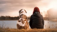 Genetic variation may have contributed to our ability to domesticate dogs and other animals. Image credit: Sven Lachmann.