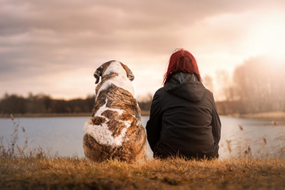 Genetic variation may have contributed to our ability to domesticate dogs and other animals. Image credit: Sven Lachmann.
