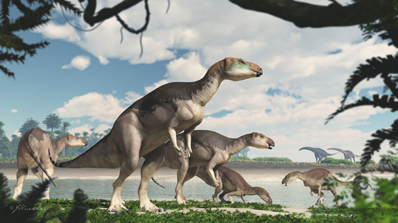 An artist’s reconstruction of Fostoria dhimbangunmal. Image credit: James Kuether.