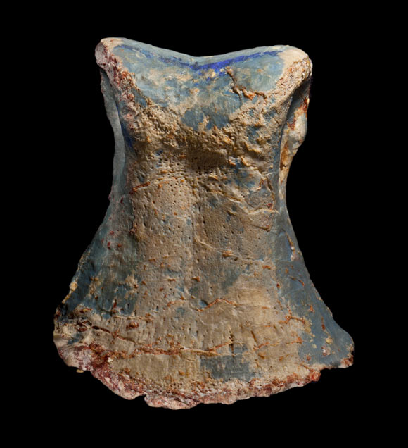 A toe bone of Fostoria dhimbangunmal, spectacularly preserved in opal. Image credit: Robert A. Smith, Australian Opal Centre.