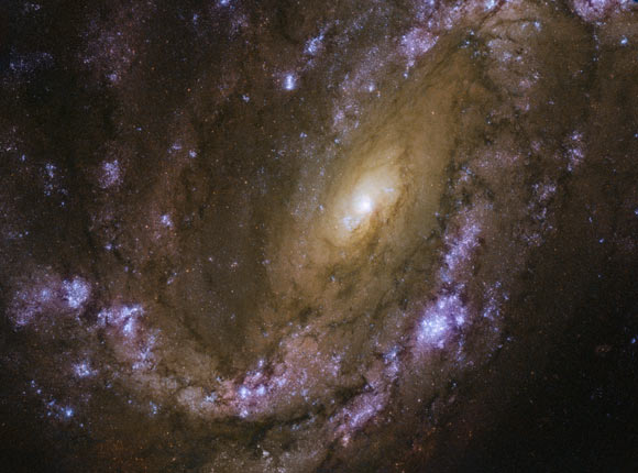 This Hubble image shows the intermediate spiral galaxy NGC 4051. An emission-line galaxy known as SDSS J120312.35+443045.1 is visible as the bright smudge to the lower middle of the image, beneath the sweeping arm of NGC 4051. The color image was made from separate exposures taken in the visible and ultraviolet regions of the spectrum with Hubble’s Wide Field Camera 3 (WFC3). Four filters were used to sample various wavelengths. The color results from assigning different hues to each monochromatic image associated with an individual filter. Image credit: NASA / ESA / Hubble / D. Crenshaw & O. Fox.
