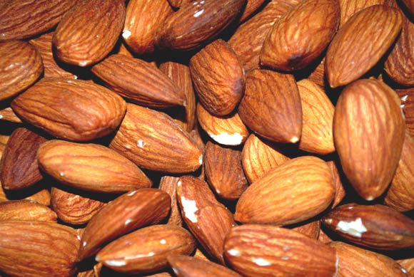 Almond kernels.