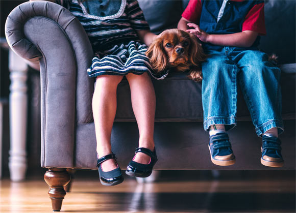 Aldridge & Rose suggest that although some children struggle to recognize when a dog is frightened, the more concerning issue is their lack of understanding of how to behave appropriately around dogs, especially those that are frightened. Image credit: Pexels.