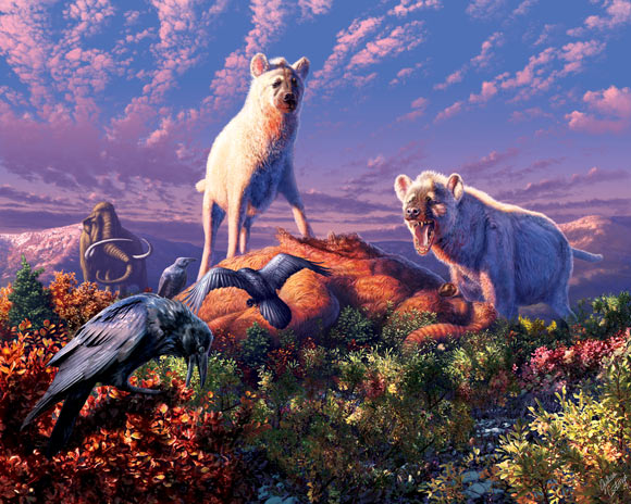 An artist’s rendering of ancient Arctic hyenas belonging to the genus Chasmaporthetes. Image credit: Julius T. Csotonyi.