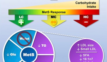 After eating a low-carb diet, more than half the participants saw their metabolic syndrome reversed even though they were fed diets that intentionally contained enough calories to keep their weight stable. Image credit: Hyde et al, doi: 10.1172/jci.insight.128308.