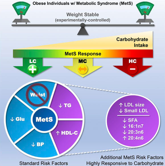 After eating a low-carb diet, more than half the participants saw their metabolic syndrome reversed even though they were fed diets that intentionally contained enough calories to keep their weight stable. Image credit: Hyde et al, doi: 10.1172/jci.insight.128308.