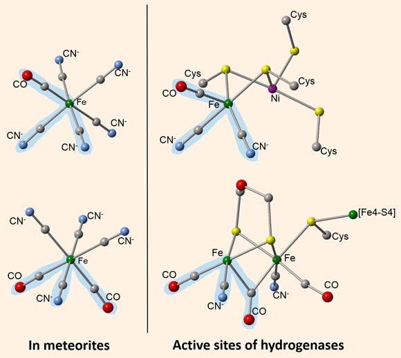 CM chondrite meteorites contain organometallic compounds that resemble portions of enzymes found in bacteria and archaea. CN is cyanide, CO is carbon monoxide, Fe is iron, Ni is nickel. Image credit: Smith et al, doi: 10.1038/s41467-019-10866-x.