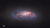 This Hubble image shows a spiral galaxy called NGC 972. The image is a composite of separate exposures acquired by Hubble’s Advanced Camera for Surveys (ACS) instrument. Two filters were used to sample various wavelengths. The color results from assigning different hues to each monochromatic image associated with an individual filter. Image credit: NASA / ESA / Hubble / L. Ho.