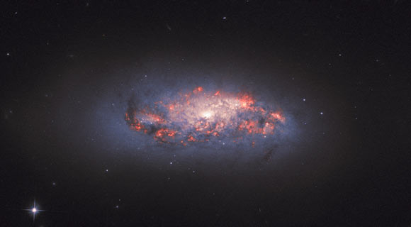This Hubble image shows a spiral galaxy called NGC 972. The image is a composite of separate exposures acquired by Hubble’s Advanced Camera for Surveys (ACS) instrument. Two filters were used to sample various wavelengths. The color results from assigning different hues to each monochromatic image associated with an individual filter. Image credit: NASA / ESA / Hubble / L. Ho.