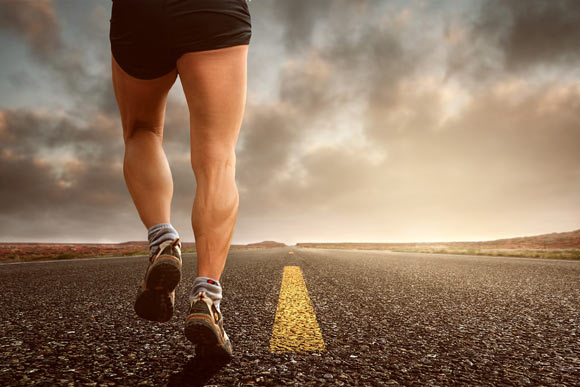 Scheiman et al found Veillonella bacteria in the microbiome of elite athletes. Image credit: Composita.