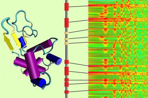 Yu et al report a method to translate amino acid sequences into audible sound, use the representation in the musical space to train a neural network, and then apply it to generate protein designs using artificial intelligence. Image credit: Yu et al, doi: 10.1021/acsnano.9b02180.