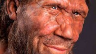 Denisovans were probably dark-skinned, unlike the pale Neanderthals. The picture shows a Neanderthal man. Image credit: Trustees of the Natural History Museum, London.