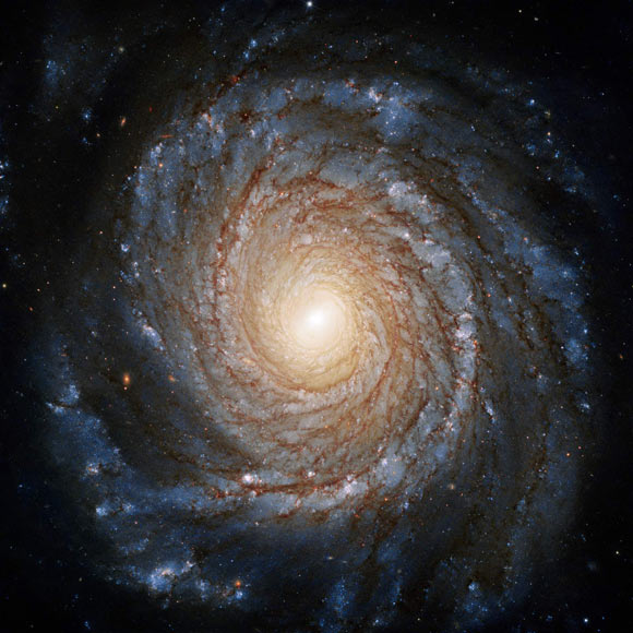 NGC 3147 is relatively close by, at a distance of roughly 130 million light-years, and can be found in the constellation of Draco. Image credit: NASA / ESA / Hubble / A. Riess et al.