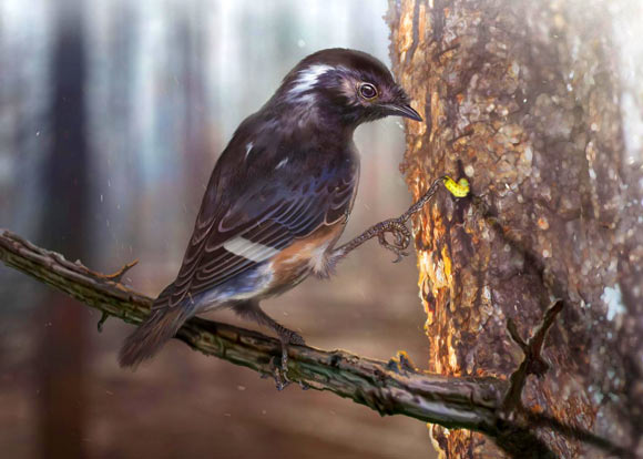 An artist’s reconstruction of Elektorornis chenguangi, showing the possible probing function of the elongate toe. Image credit: Zhongda Zhang.