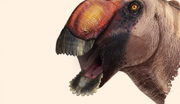 Aquilarhinus palimentus lived approximately 80 million years ago in what is now Texas. Image credit: ICRA Art.