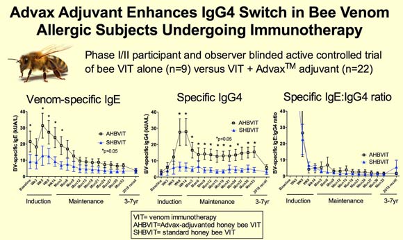 The Advax adjuvant favorably enhanced the immunogenicity of the honeybee venom immunotherapy, with an early and prolonged switch to specific IgG4 production. Image credit: Heddle et al, doi: 10.1016/j.jaci.2019.03.035.