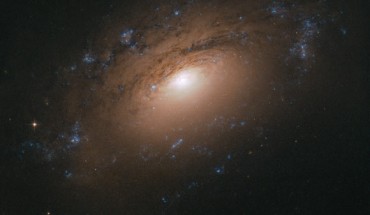 This Hubble image shows the spiral galaxy NGC 3169. The color image is made up of observations from Hubble’s Advanced Camera for Surveys (ACS) in the near-infrared, and optical parts of the spectrum. two filters were used to sample various wavelengths. The color results from assigning different hues to each monochromatic image associated with an individual filter. Image credit: NASA / ESA / Hubble / L. Ho.