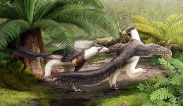 Hesperornithoides miessleri. Image credit: Gabriel Ugueto.