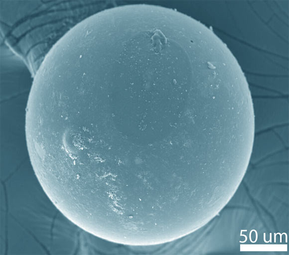 A microtektite from the shell bed of southwestern Florida. Image credit: Meyer et al, doi: 10.1111/maps.13299.